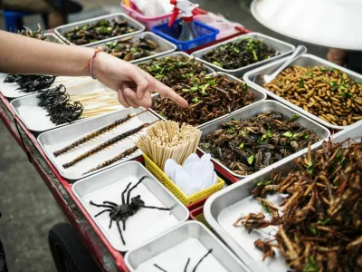 Closeup of hand ordering cooked insects in Thailand street food stall