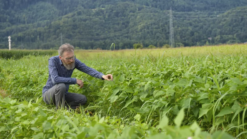 Tomaž &Scaron;korjanc F osebni arhiv