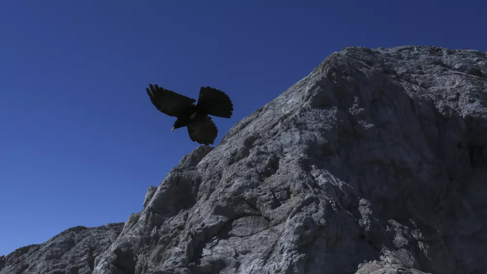 - 29.08.2015 - simbolična fotografija - Julijske Alpe, planinci     ///FOTO: Jaka Gasar