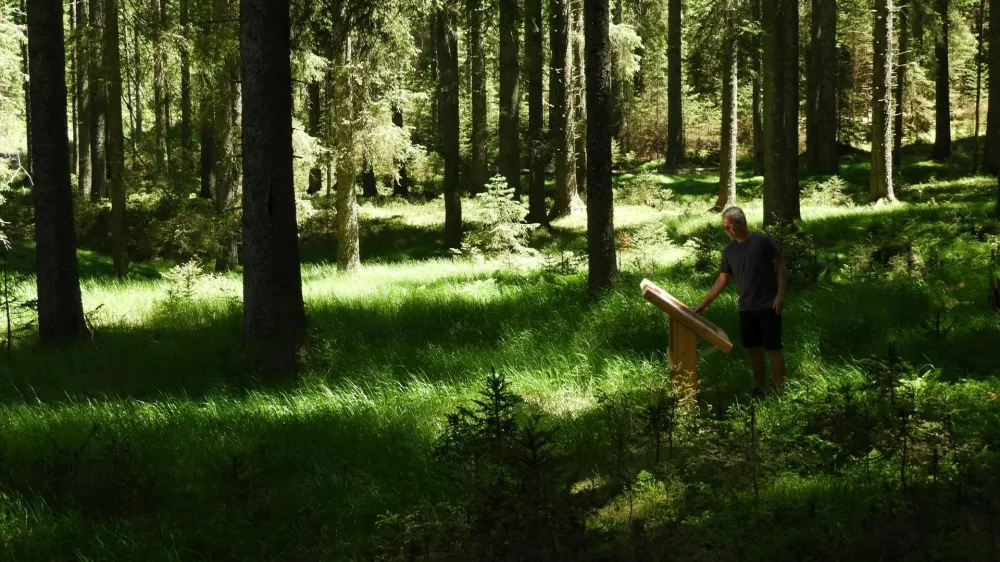 Nekdanja Poklju&scaron;ka pot, danes kraj&scaron;a učna pot Mrzli studenec, poteka skozi strnjene smrekove gozdove, mimo travi&scaron;č, Grajske planine, Velikega Blejskega barja in ostalin prve svetovne vojne (Savska obrambna linija).