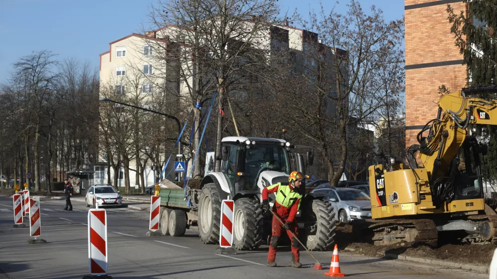 16.02.2024 - presaditev dreves z Linhartove ceste do &Scaron;martinskega parka; Kolo park Bežigrad, Linhartova cesta,Foto: Luka Cjuha
