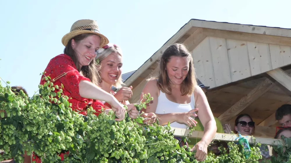 gfd fh gh / Foto: F Vds