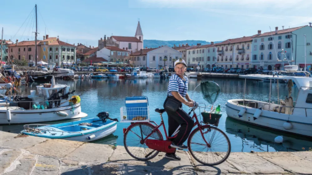 sds sdsd / Foto: Ssdsd