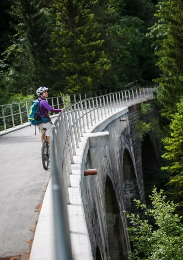 Kolesarska trasa &Scaron;trekna / Foto: Rra Koro&scaron;ka