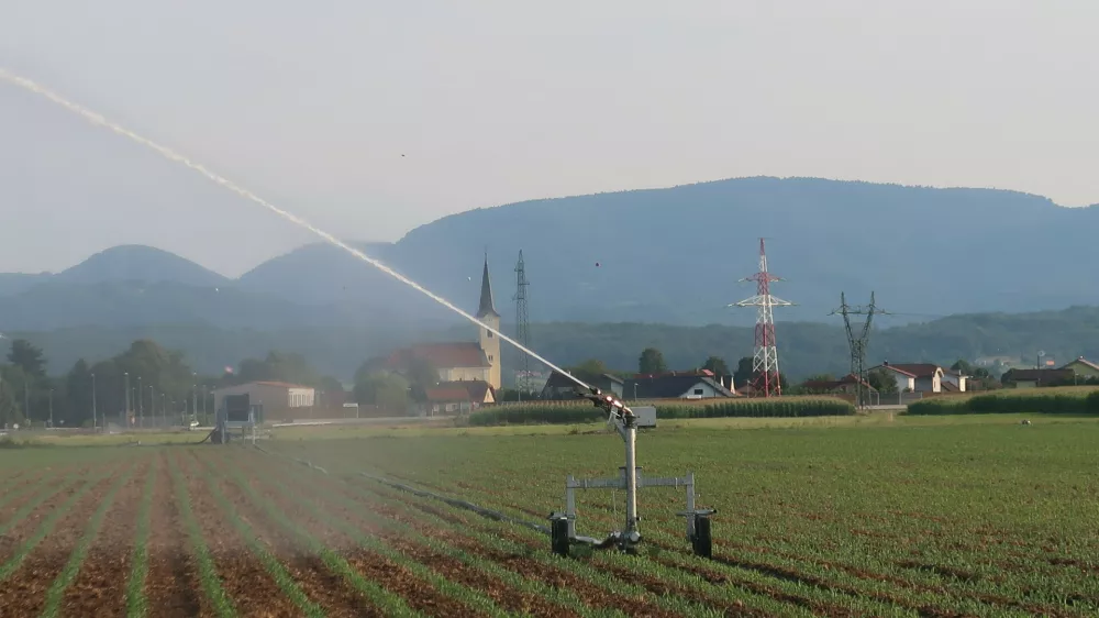 kmetijstvo, kmetijsko zemlji&scaron;če, namakanje, namakalni sistem. Foto: Tatjana Pihlar 