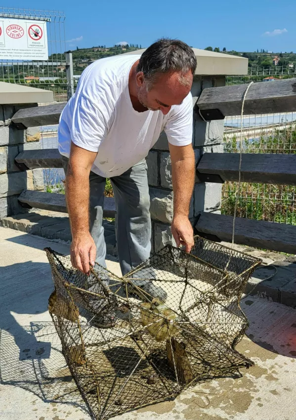 vr&scaron;a Nevijo Vižintin / Foto: Katja Gle&scaron;čič 