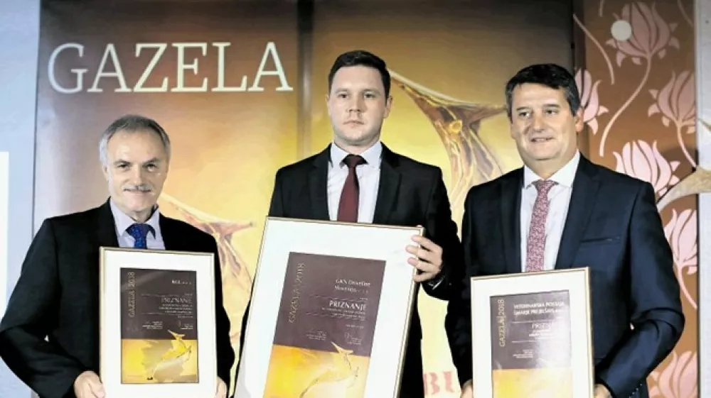 Lanski nominiranci za regijsko gazelo: KGL, direktor Bojan Železnik (levo), GKN Driveline Slovenija, direktor Peter Smole (na sredini), in Veterinarska postaja &Scaron; marje pri Jel&scaron;ah, direktor Tomi Rumpf (desno) (Foto: Bojan Velikonja)