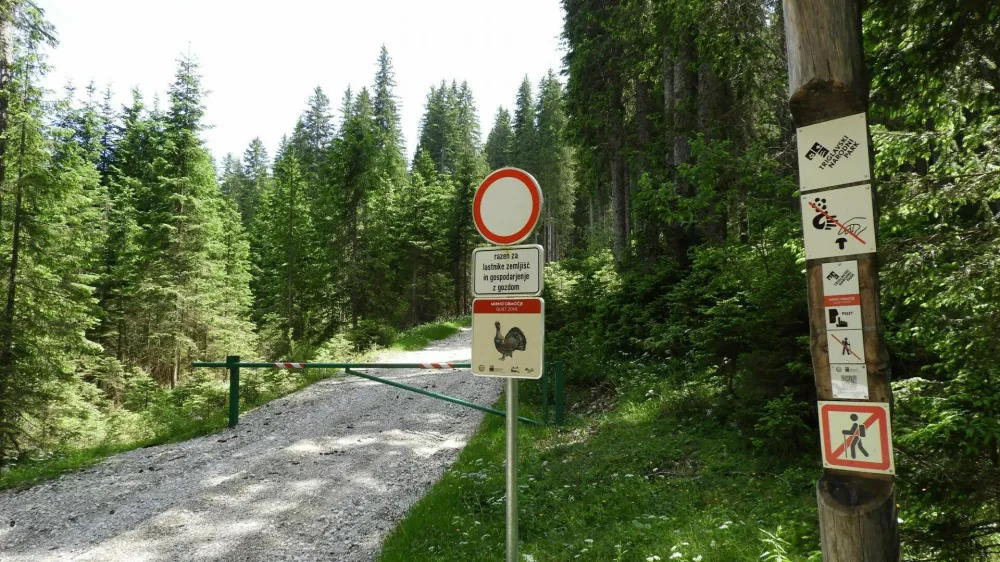 Zapornica na Pokljuki in table opozarjajo, da smo pri&scaron;li na mirno območje. Ker je na Mesnovcu največja koncentracija divjih petelinov na Pokljuki, je gibanje za obiskovalce prepovedano. V projektu VrH Julijcev je bilo postavljenih 25 zapornic. / Foto: Tomaž Mihelič