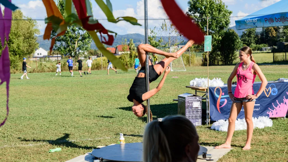 Dan soseda &Scaron;tepanjsko naselje