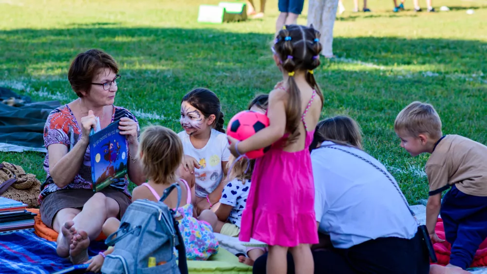 Dan soseda &Scaron;tepanjsko naselje