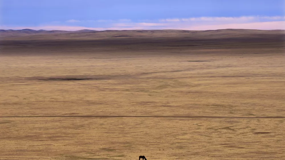 A lone horse grazes in the Munkh-Khaan region of the Sukhbaatar district, in southeast Mongolia, Saturday, May 13, 2023. Chronic drought plagues Mongolia. So does warming. Since 1940, the country's government says, average temperatures have risen 2.2 degrees Celsius (nearly 4 degrees Fahrenheit) &mdash; a measure that may seem small, but for global averages, scientists say every tenth of a degree matters, and a warming world brings more weather extremes. (AP Photo/Manish Swarup)