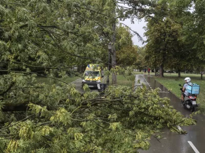- 18.08.2022 &ndash; neurje v Ljubljani - podrta drevesa - Tivoli //FOTO: Jaka Gasar