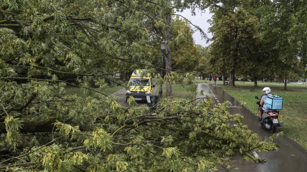 - 18.08.2022 &ndash; neurje v Ljubljani - podrta drevesa - Tivoli //FOTO: Jaka Gasar
