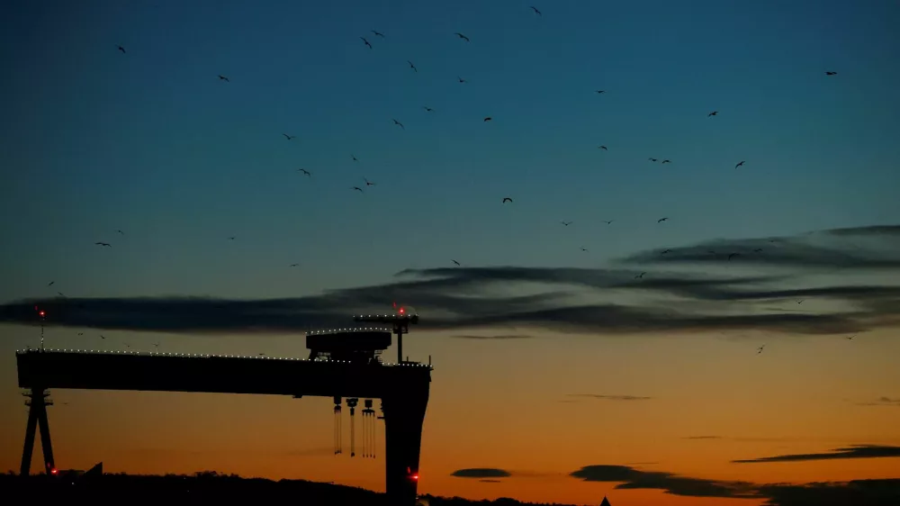 FILE PHOTO: Birds fly around one of the cranes at the Harland and Wolff shipyard at sunrise in Belfast, Northern Ireland, Britain January 1, 2021. REUTERS/Phil Noble/File Photo