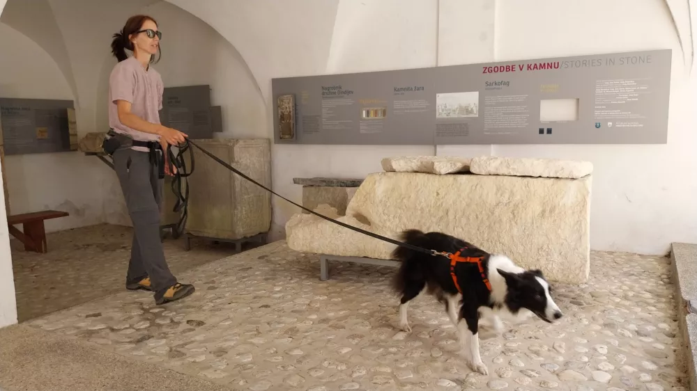 Pri iskanju sledi sta pomagali tudi Ana Plestenjak in njena enajstletna psička Flo.&nbsp;Foto: Vesna Levičnik