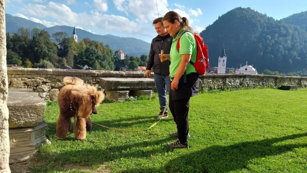 Kraljevi koder Joy se je odlično vživel v vlogo pasjega detektiva.&nbsp;Foto: Vesna Levičnik