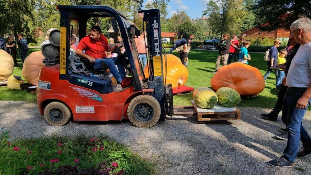 V Mozirskem gaju je potekalo že 14. tekmovanje za najtežjo bučo. F Maja Horvat