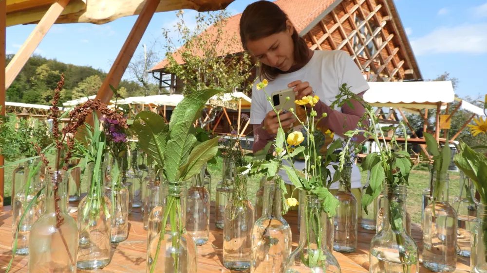 Festival divje hrane / Foto: Katja Petrovec 