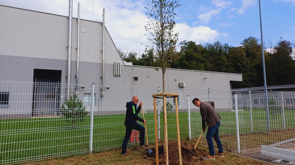 Direktor Komunale Kranj Matjaž Berčon in župan MOK Matjaž Rakovec (na desni) sta v parku simbolično zasadila drevo. Foto: Tina Jereb