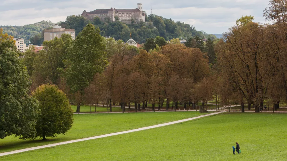 Glede na dosedanje &scaron;tevilo zbranih podpisov ni pričakovati, da bo v Ljubljani izveden referendum o krajinskem parku. Foto: Maja Marko