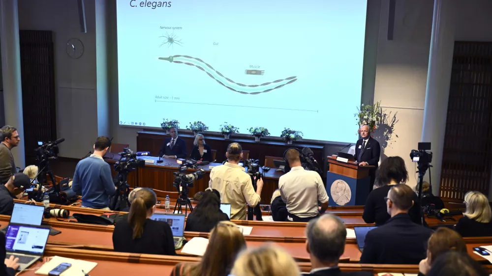 Olle K&auml;mpe, right, professor of clinical endocrinology, explains the work of this year's Nobel Prize in Physiology or Medicine laureates Americans Victor Ambros, and Gary Ruvkun during a press conference at the Karolinska Institute in Stockholm, Sweden, on Monday, Oct. 7, 2024. (Christine Olsson/TT News Agency via AP)