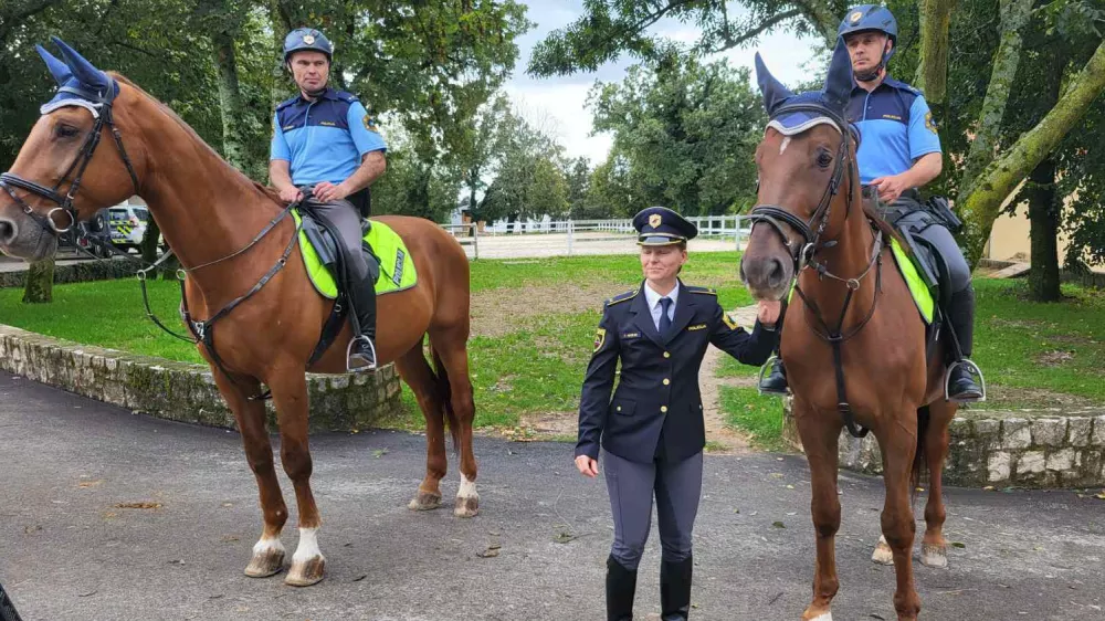 Lipica, kobilarna, 50. let ljubljanske konjeni&scaron;ke policije, policija, policijski konj