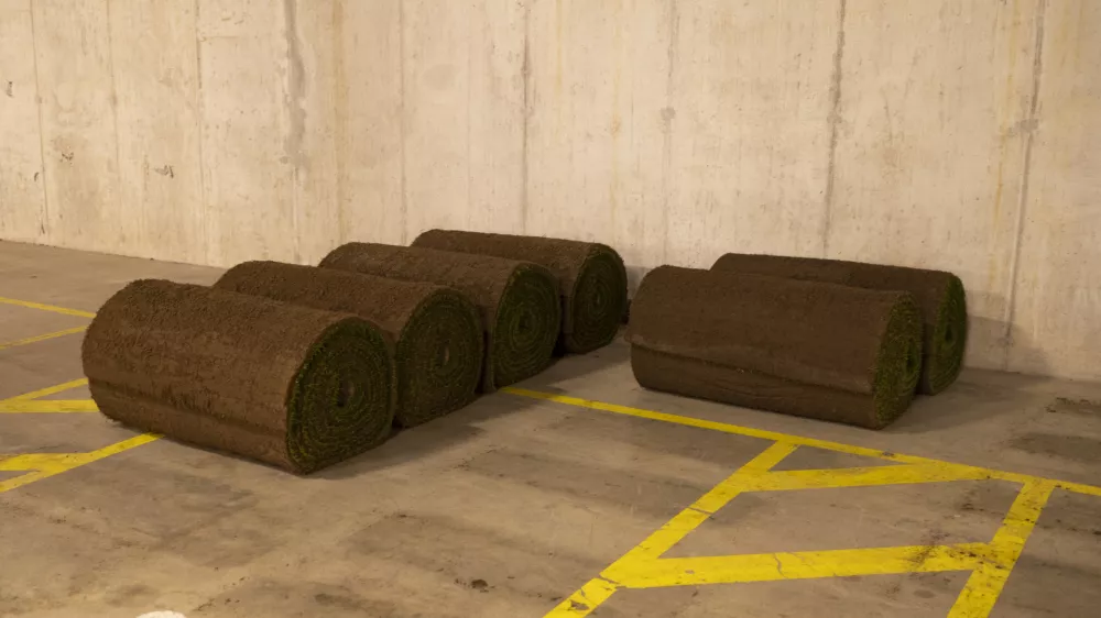 10.10. 2024 - Stadion Stožice - ponovna sanacije trave Foto: Nik Erik Neubauer