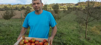 14.10.2024 - Damjan Kmetič- pridelovalec znamenitih kozjanskih jabolkFOTO: Luka Cjuha