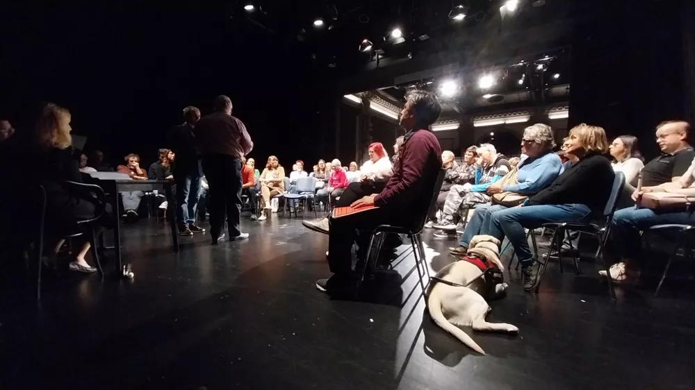 Premiera bralne uprizoritve "REMI" ob Mednarodnem dnevu bele palice v &Scaron;entjakobskem gledali&scaron;ču Ljubljana