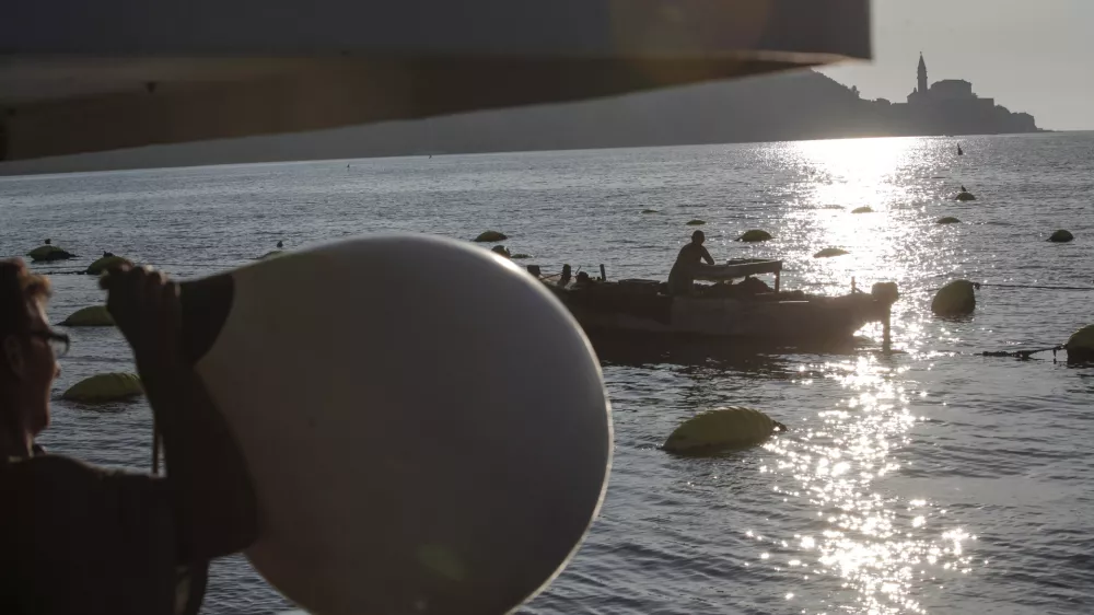 Strunjan - 08.09.2014 - IZOLA - Ribi&scaron;tvo &Scaron;koljkarstvo Mitja Petrič s.p. - gojenje &scaron;koljk - &scaron;koljke klapavice in ladinke, nabiranje - &scaron;koljči&scaron;če ///FOTO: Luka Cjuha OPOMBA: ZA OBJAVO V PRILOGI &ndash; DNEVNIKOV OBJEKTIV - REPORTAŽA 2014