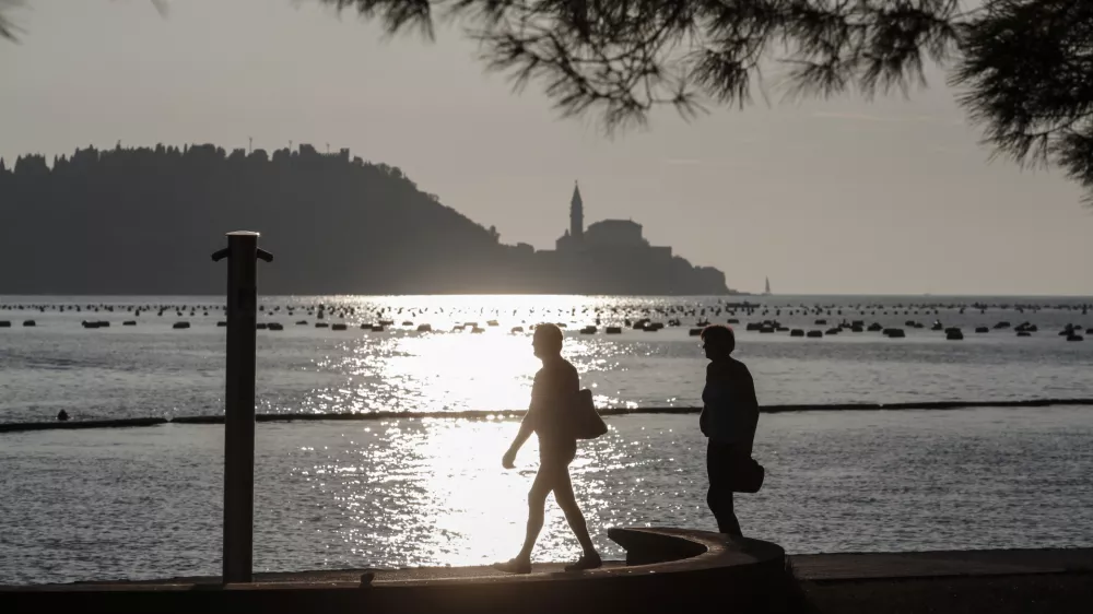 Strunjan - 08.09.2014 - IZOLA - Ribi&scaron;tvo &Scaron;koljkarstvo Mitja Petrič s.p. - gojenje &scaron;koljk - &scaron;koljke klapavice in ladinke, nabiranje - &scaron;koljči&scaron;če ///FOTO: Luka Cjuha OPOMBA: ZA OBJAVO V PRILOGI &ndash; DNEVNIKOV OBJEKTIV - REPORTAŽA 2014