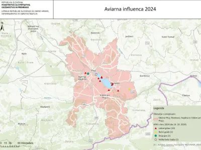 Nacionalni veterinarski in&scaron;titut ljubljanske veterinarske fakultete je ptičjo gripo tretjič doslej potrdil tudi pri domači perutnini. Foto: Uprava za varno hrano, veterinarstvo in varstvo rastlin