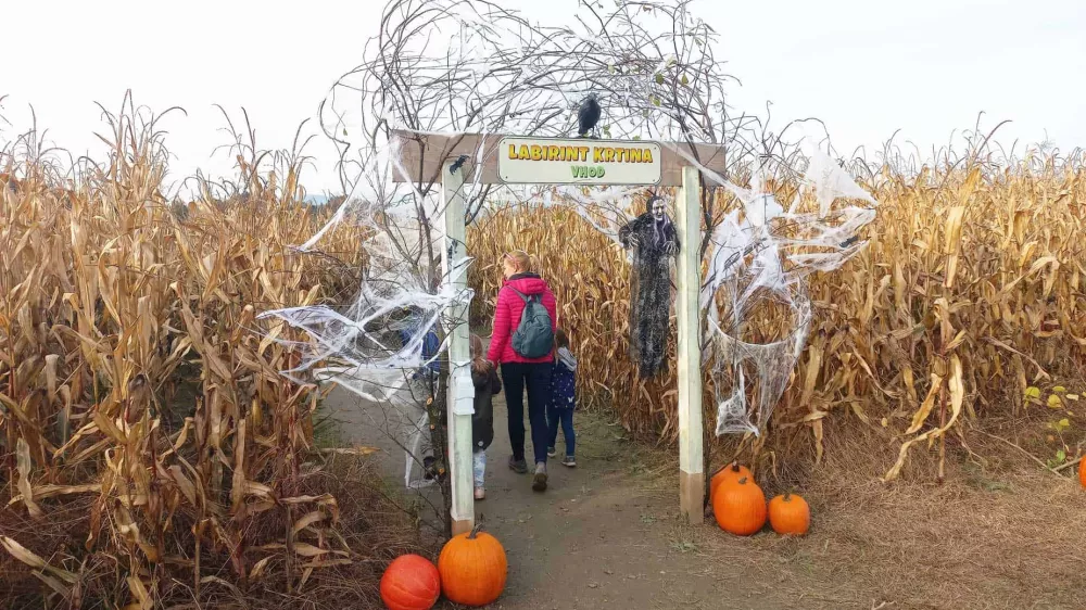 Vhod v začaran labirint v Krtini pri Ljubljani. 