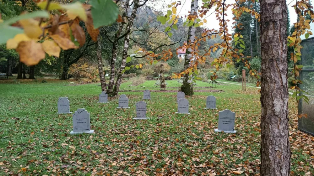 Pokopali&scaron;če izumrlih rastlin v Botaničnem vrtu Univerze v Ljubljani. Foto: Katja Malovrh