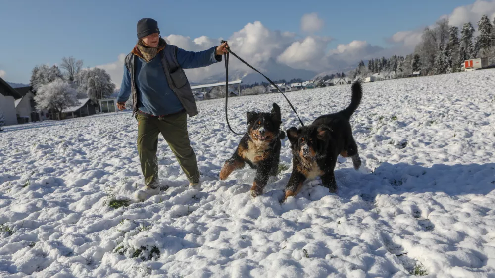 12.12.2022 - Gorenja vas - Reteče v Občini &Scaron;kofja Loka - prvi sneg - sprehajanje psov - pes - zimaFoto: Luka Cjuha