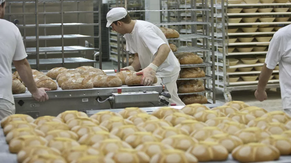 kruh - pekPekarna Grosuplje, proizvodnja kruha, svežega peciva in sla&scaron;čic, Gasilska cesta 2, //FOTO: Jaka AdamičOPOMBA: ZA OBJAVO V PRILOGI &ndash; DNEVNIKOV OBJEKTIV - REPORTAŽA O KRUHU