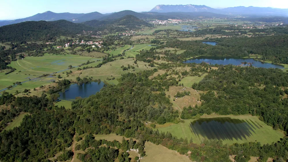 Ko se podzemlje Zelenega krasa napolni z vodo, na 15-kilometrski razdalji od &Scaron;embij pri Ilirski Bistrici do Žej pri Postojni na&scaron;tejemo kar 17 presihajočih jezer. Foto: Stojan Spetič / Foto: Stojan Spetič