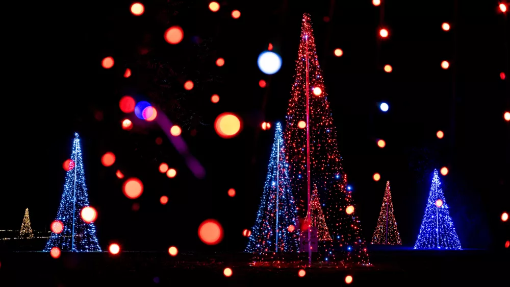 Po parku so speljali nekaj več kot dva milijona lučk. Foto: Miha Kokole/Arboretum Volčji Potok
