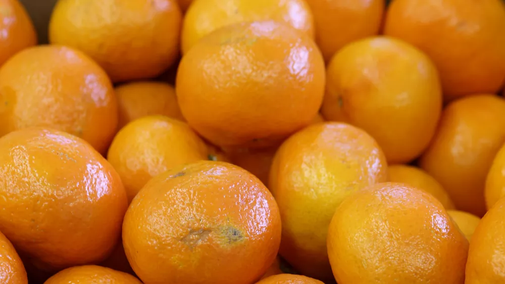 - mejna fitosanitarna in&scaron;pekcija za fitosanitarni nadzor, nadzor kakovosti in varnosti živil - pregled kakovosti pri uvozu svežega sadja in zelenjave - laboratorij - sadje - mandarine- 11.04.2017 - Luka Koper, pristani&scaron;ki in logistični sistem, d.d., mednarodno tovorno koprsko pristani&scaron;če, - pretovarjanje, skladi&scaron;čenje in transport živil - //FOTO: Tomaž SkaleOPOMBA: DNEVNIKOV OBJEKTIV - REPORTAŽA 2017