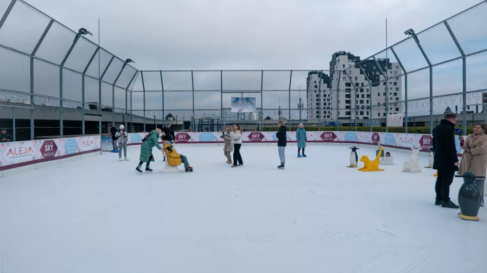 Drsali&scaron;če Aleja 2024