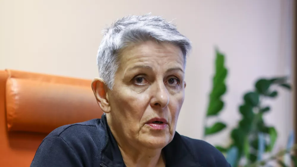 Lidija Jerkič, predsednica ZSSS

Med socialnimi partnerji v zasebnem sektorju obstaja minimalno soglasje o tem, da bi potrebovali nov plačni model, vendar pa se premikamo zelo počasi.