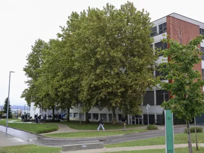 - 13.09.2024 - O&Scaron; &Scaron;entjernej - občina &Scaron;entjernej - Romi - romsko naselje - nasilje, incident //FOTO: Jaka Gasar