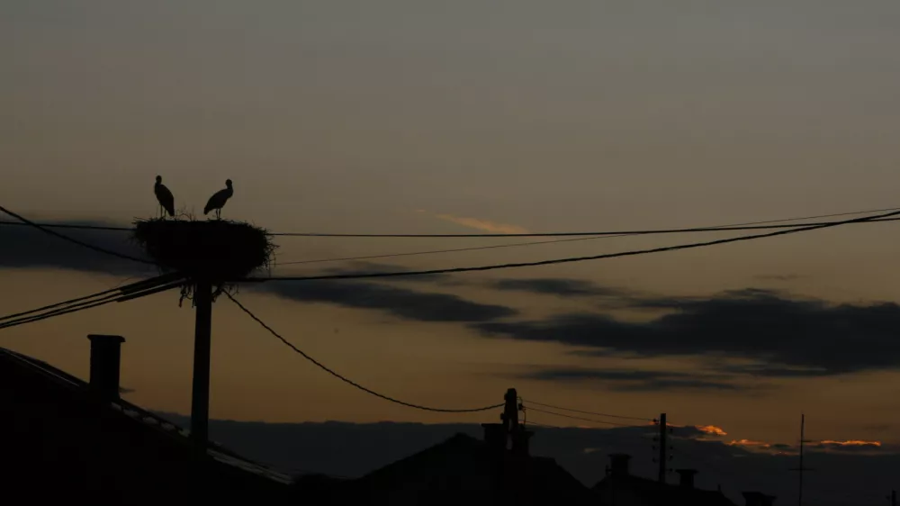 -&Scaron;torklje-Prekmurje, reportaža//FOTO: Bojan VelikonjaOPOMBA: ZA OBJAVO ZA OBJAVO V PRILOGI &ndash; DNEVNIKOV OBJEKTIV - REPORTAŽA