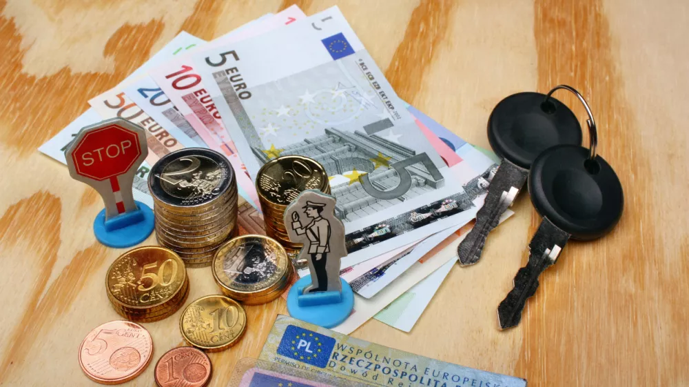 Bo odvzem vozni&scaron;ke v eni veljal tudi v drugih članicah EU? / Foto: iStock