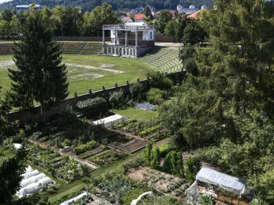 - zemlji&scaron;če med stadionom in Fondovimi bloki. - vrtički - - 04.08.2017 - Plečnikov stadion za Bežigradom &ndash; &scaron;portni park poslovneža Jožeta Pečečnika - kulturni spomenik  //FOTO: Luka Cjuha.