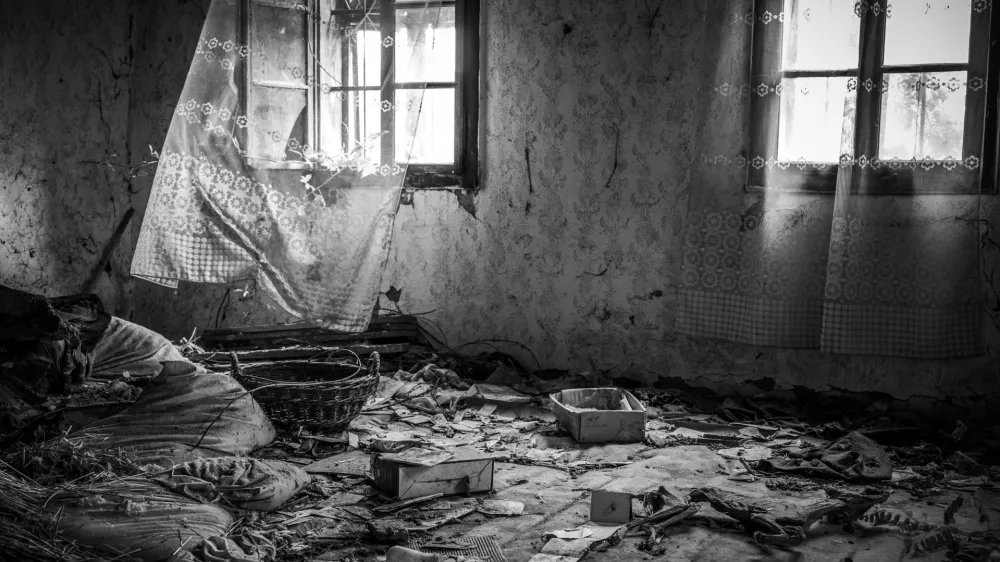 Vid Brezočnik: Vsi so od&scaron;li, 2024