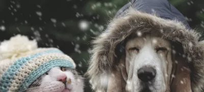 Kako nama je toplo! / Foto: Istock