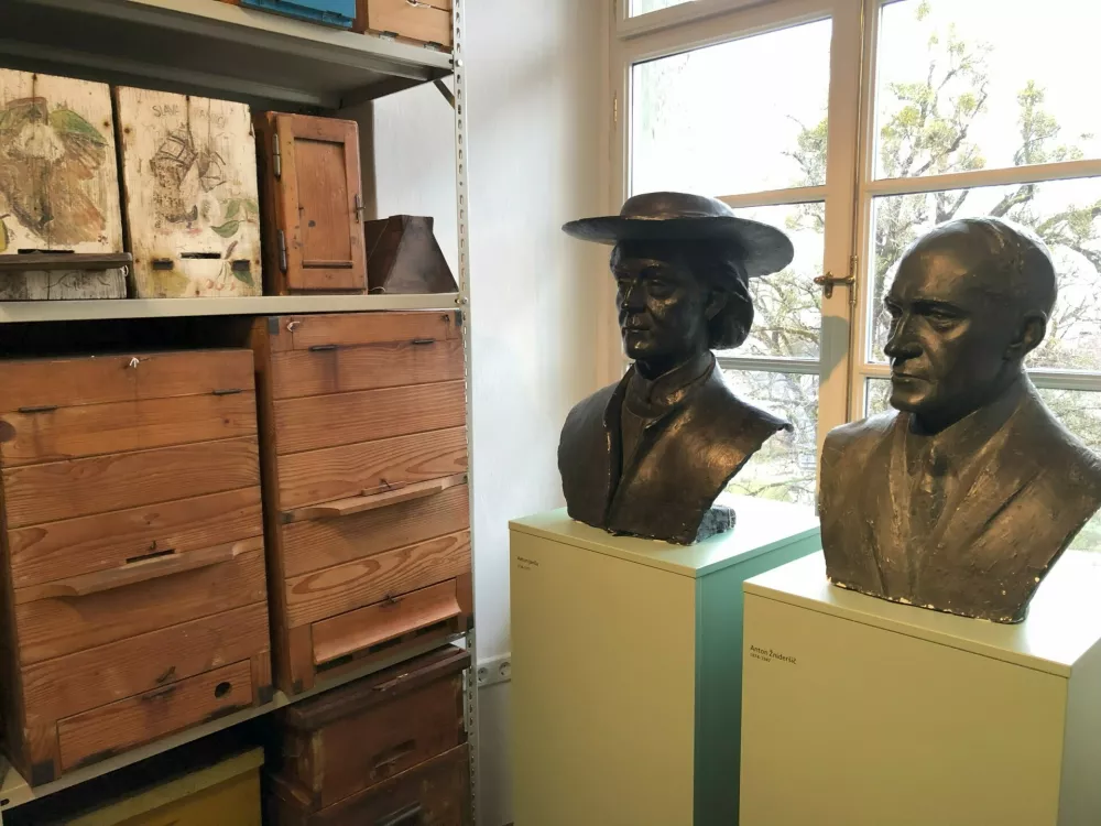 Doprsna kipa čebelarjev Antona Jan&scaron;e in Antona Žnidar&scaron;iča v Čebelarskem muzeju Radovljica.&nbsp;Foto: Eva Branc