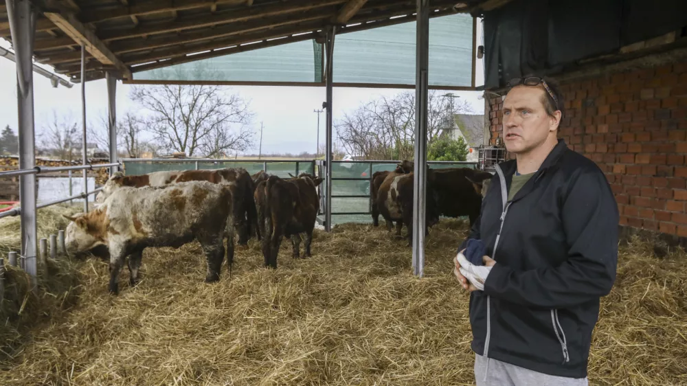 rejec Rudi Možgan- 18.01.2024 &ndash; Kmetija Možgan, Veni&scaron;e 16, Leskovec pri Kr&scaron;kem &ndash; vrnitev odvzete govedi, ki mu jih je 14. novembra lani zaradi zanemarjanja trajno odvzela veterinarska in&scaron;pektorica  //FOTO: Luka Cjuha