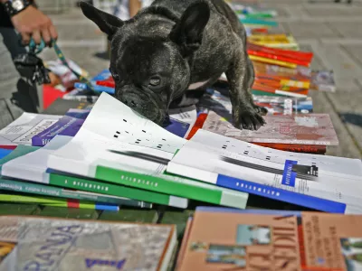 - ilustrativna fotografija - knjiga - pes- Sejem rabljenih učbenikov in drugih &scaron;olskih potreb&scaron;čin 2011 v organizaciji Zveze &scaron;tudentskih klubov Slovenije, Križanke, &scaron;olske knjige - &scaron;olstvo/FOTO: Bojan Velikonja